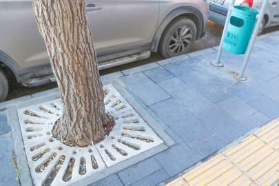 Ağacın toprağını çöp sananlar!..