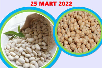 Fasulye ve nohut tohumu hibe edilecek 