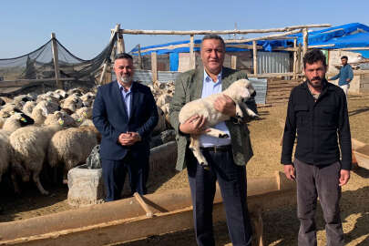 Gürer: "Hayvancılık yapanlara destek verilmeli" 