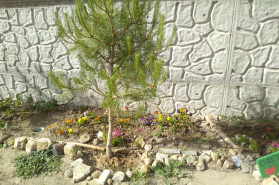 Beton toprakla buluştu