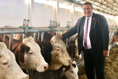 Gürer:  “Göz göre göre hayvan ithalatının kapısı aralandı”