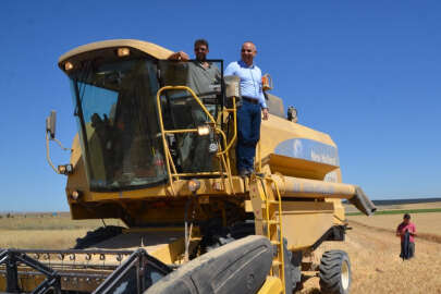 Vali Koç buğday hasadında !..