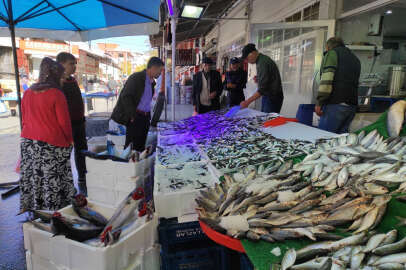 Balık pazarında hareketli günler yaşanıyor !..