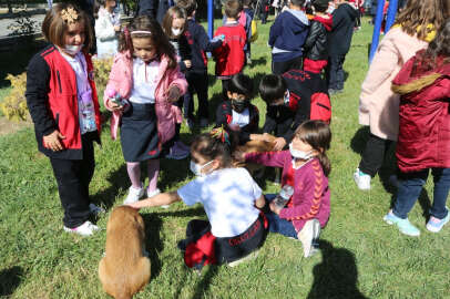 Sokak Hayvanları Sahipsiz Değil !..