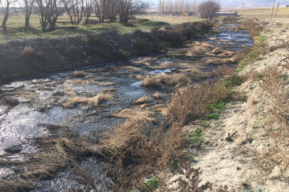 Bu iddialar doğru mu ? 