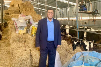 Gürer: “Peynir üretimi bir yılda 3 bin 300 ton azaldı”