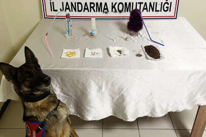 Jandarmadan uyuşturucu operasyonu !..