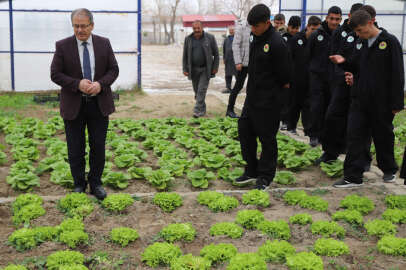 Uygulamalı modern tarım mahsülleri öğrencilerin elinde yeşerdi !.