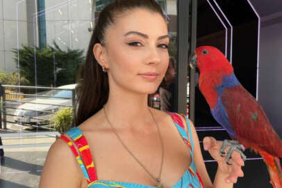 Burcu kuşunu arıyor