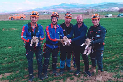 Su kuyusuna düşen yavru köpekler kurtarıldı !.