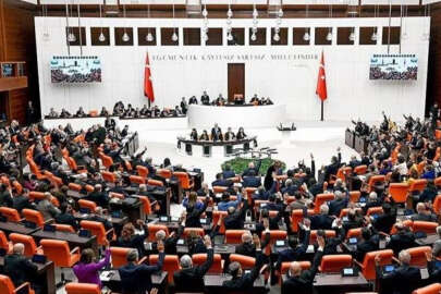 Kadın Milletvekili Cumhuriyet tarihinin en üst seviyesinde!.