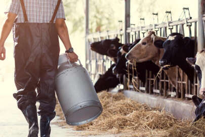 Üreticilere müjde geldi!..