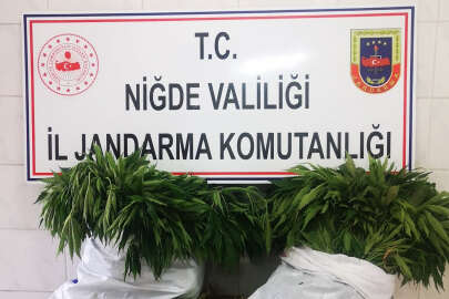 Jandarma uyuşturucuya geçit vermiyor!..