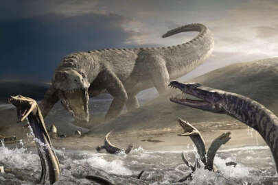 Türkiye'de neden dinozor fosili bulunmuyor?