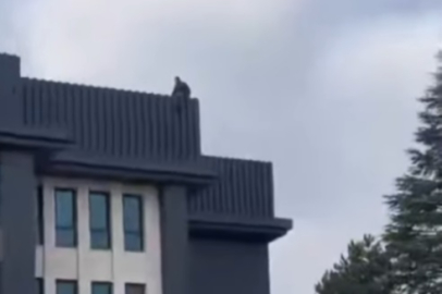 Niğde'de intihar girişimi!