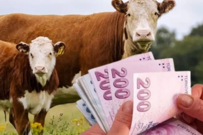 Niğde'de çiftçiye 85 milyon TL destek verildi