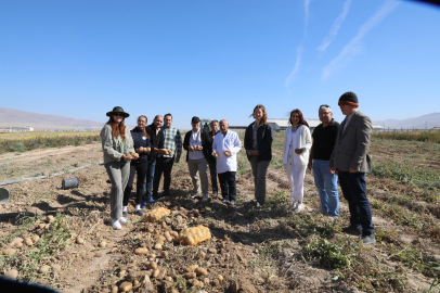 NÖHÜ'lü öğrenciler ektiği patatesleri hasat etti