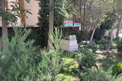 Kahireli Albay'ın mezarı yeni yerine taşındı