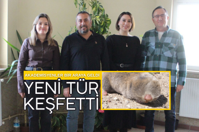 NÖHÜ Öğretim üyelerinden bir keşif daha