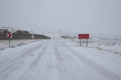 Niğde'de kar yolları kapattı