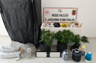 Niğde'de zehir tacirlerine darbe: Uyuşturucu serasına baskın