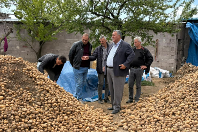 Gürer: “Binlerce ton patates hayvan yemi oldu”