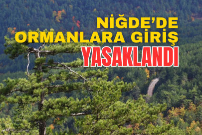 Niğde'de ormanlık alanlara girişler yasaklanıyor